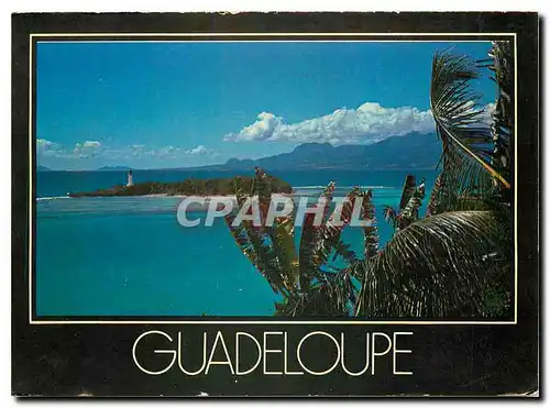 Cartes postales moderne Guadeloupe