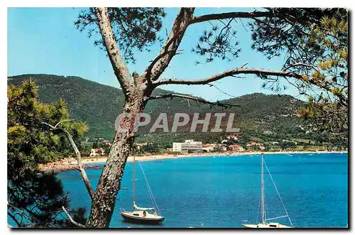 Cartes postales moderne La Cote d'Azur Cavaliere Cap Negre Var La Baie