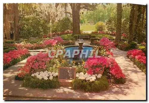 Cartes postales moderne Bellingrath Gardens Mobile Alabama