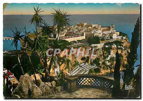 Cartes postales moderne La Cote d'Azur Le Rocher de Monaco vu des Jardins Exotiques