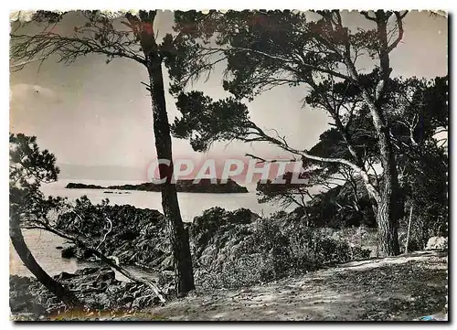 Cartes postales moderne Saint Raphael Var Le Lion de Terre vu du Parc