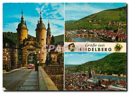 Cartes postales moderne Gruse aus Heidelberg