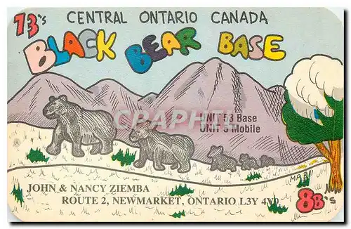 Cartes postales moderne Central Ontario Canada Black Bear Base Ours