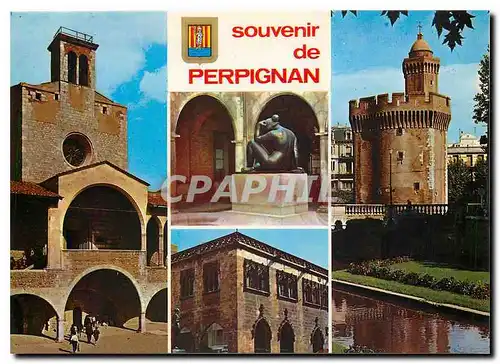 Cartes postales moderne Souvenir de Perpignan