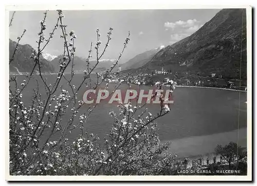 Cartes postales moderne Lago di Garda Malcesine