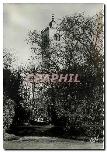 Moderne Karte Tunis Le Bardo La Mosquee dans les Jardins