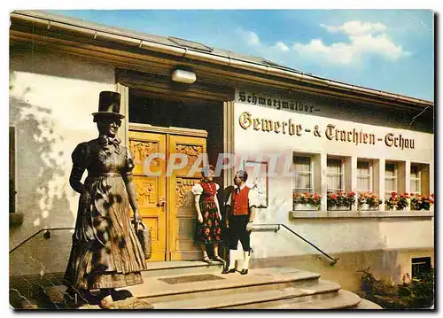 Cartes postales moderne Triberg im Schwarzwald