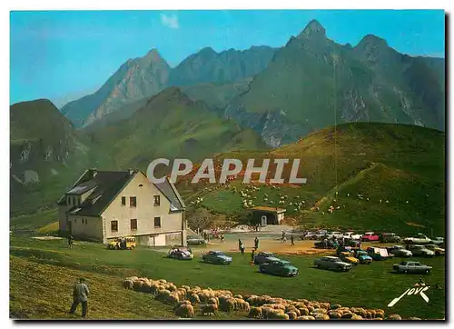 Cartes postales moderne Les Pyrenees Le Col d'Aubisque Paturages au Sommet