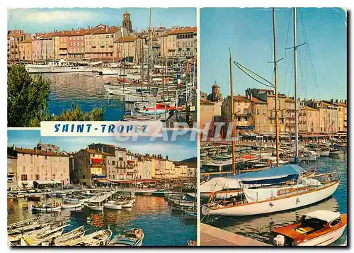 Cartes postales moderne La Cote des Maures Souvenir de Saint Tropez