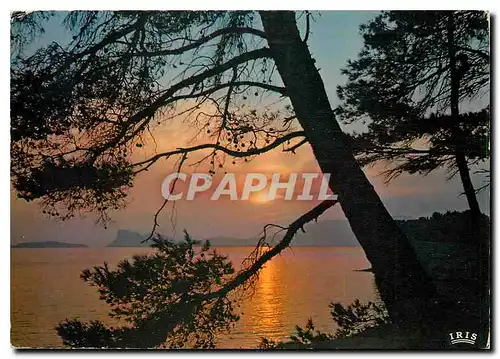 Moderne Karte La Ciotat B du R Coucher de soleil sur la Baie dans le lointain le bec de l'Aigle et l'Ile Verte