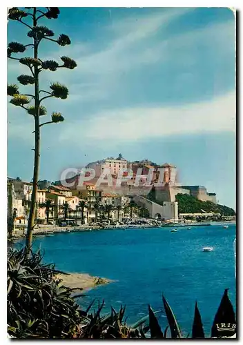 Moderne Karte Calvi Les Quais et la Citadelle