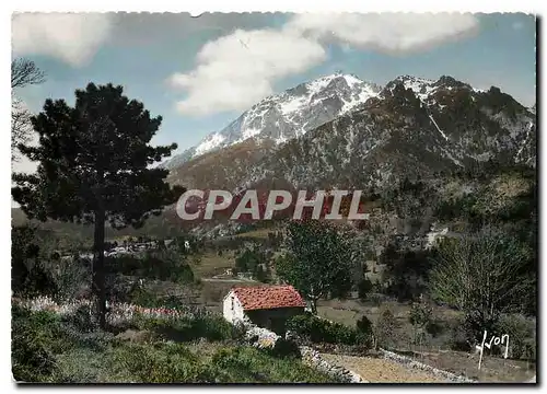 Cartes postales moderne Vizza Vona Corse Chaine du Monte d'Oro