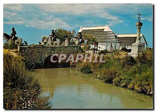 Cartes postales moderne En Camargue (B du Rh) Pont du Mort canabes et la croix des Gardions