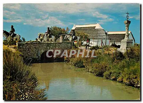 Moderne Karte En Camargue (B du Rh) Pont du Mort canabes et la croix des Gardions