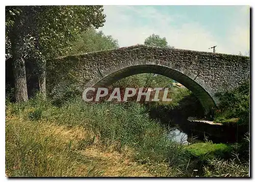 Cartes postales moderne Cereste Alpes de Haute Provence Alt 385 m le Pont Romain