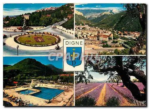 Cartes postales moderne Digne (B A) alt 608 m vue generale Rond point Piscine champ de lavande