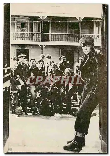 Cartes postales moderne Marlon Brando