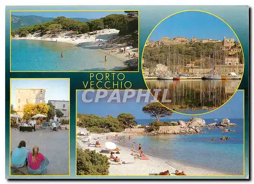 Cartes postales moderne Souvenir de Corse Porto Vecchio