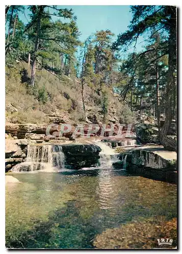 Moderne Karte Charmes et couleurs de la Corse Evisa La Piscine Sindoght (835 m d'alt)