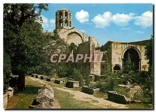 Cartes postales moderne Capitale de la Provence Arles Les Alyscamps (Cimetiere Gallo Romain)