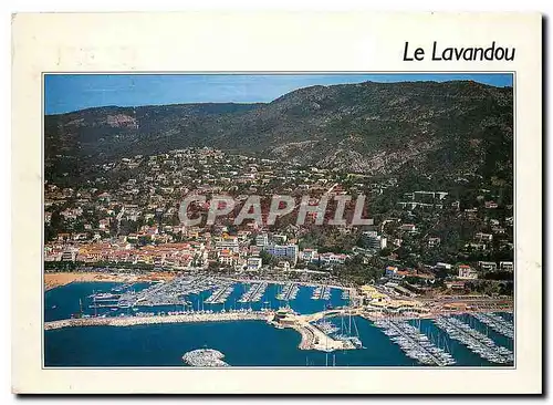 Cartes postales moderne Le Lavandou (Var) vue generale aerienne