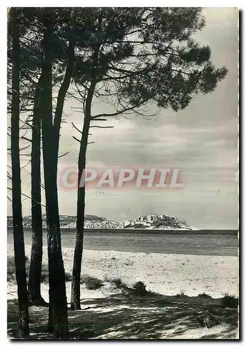 Cartes postales moderne La Corse Iles de Beaute Calvi la plage