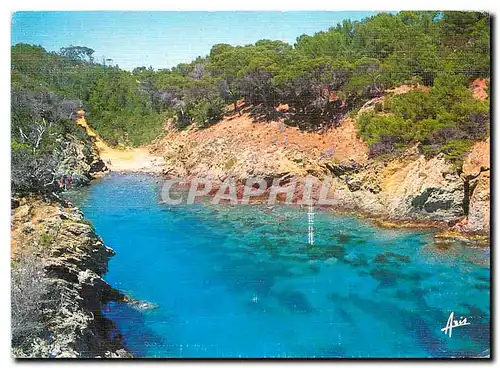 Cartes postales moderne Ile de Porquerolles l'Oustaou de Diou