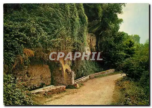 Cartes postales moderne  Paysages de France Ceraste Alpes de Haute Provence alt 385 m le Nod d'Amour