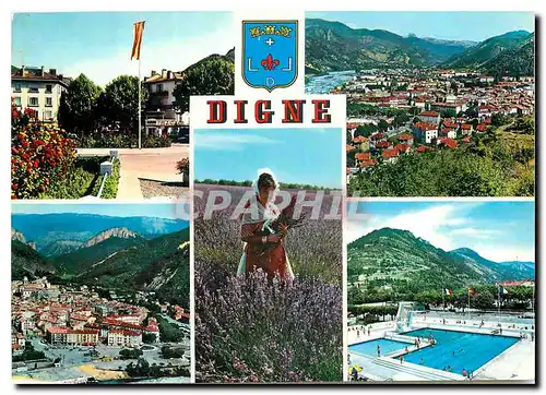 Cartes postales moderne Digne (B A) alt 608 m le rond Point Vue generasle