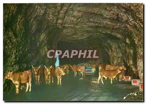 Cartes postales moderne Route du Col d'Aubisque Corrida en station dans le tunnel