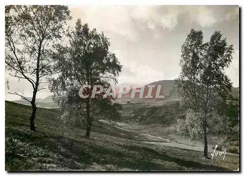 Moderne Karte Environs de Royat ( P de D) vue sur la chaine des puys