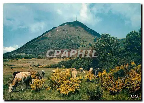 Cartes postales moderne Le Puy de Dome (Alt 1485m)