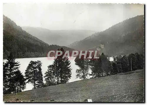 Cartes postales moderne Lac de Longemer et vue sur le Hohneck