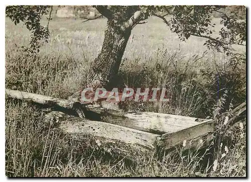 Moderne Karte Les Vosges Le Bassin en Bois