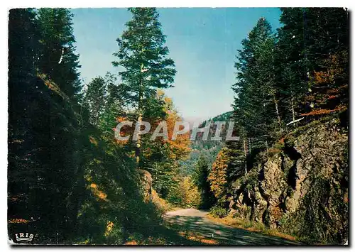 Cartes postales moderne Les Vosges Pittoresques la route de Retournemer a Longmer en automne