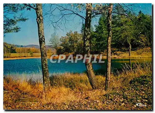 Cartes postales moderne Paysage en Limousin Un etang