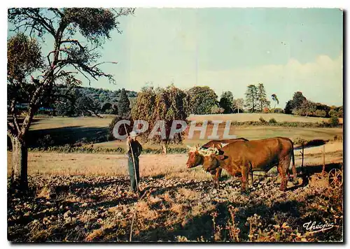 Moderne Karte La Haute vienne Pittorresque Attelage Limousin