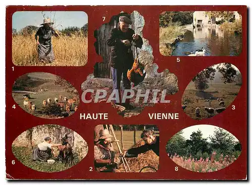 Cartes postales moderne (Haute Vienne) les moissons a la Faucille La Halte durant les Foins