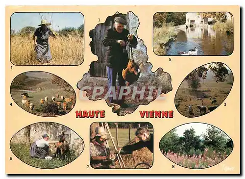 Cartes postales moderne Haute Vienne Les moissons a la faucille