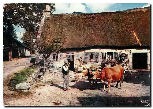 Cartes postales moderne En Limousin la ferme au toit de Chaume