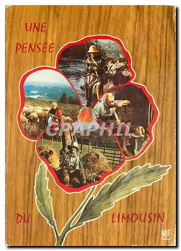 Cartes postales moderne Une Pensee du Limousin