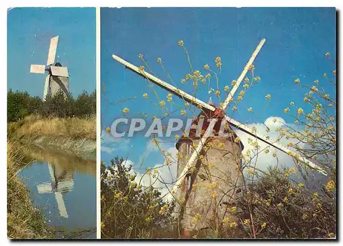 Cartes postales moderne La Vendee touristique Moulin dans le Marais