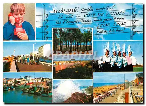 Cartes postales moderne La Cote de Vendee