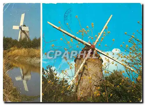 Cartes postales moderne La Vendee Touristique Moulin dans le Marais