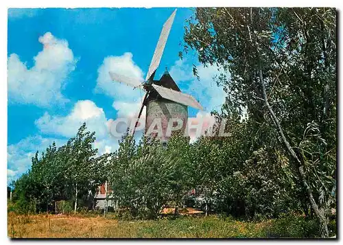 Cartes postales moderne Moulin en Vendee