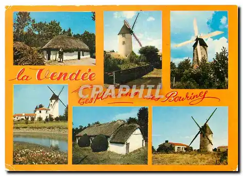 Cartes postales moderne La Vendee ses Moulins ses Bourines