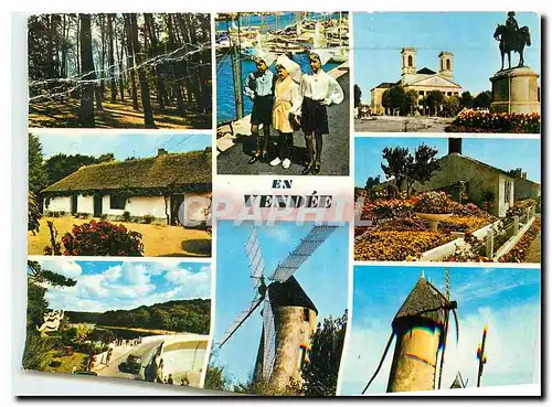 Cartes postales moderne Vendee Touristique Un sous bois une bourrinne