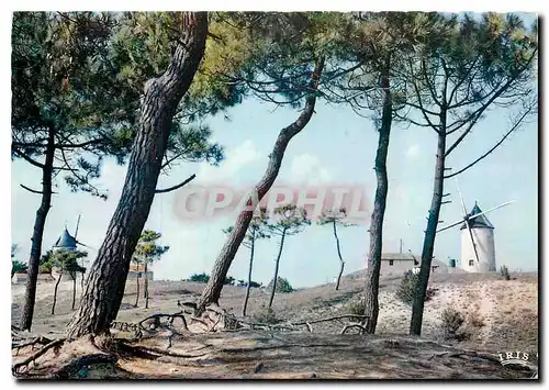 Moderne Karte Vendee Pittoresque Paysage du Bocage