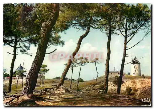 Cartes postales moderne Vendee Pittoresque Les Moulins a vent