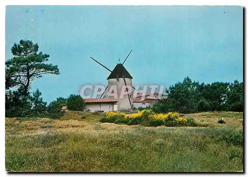 Cartes postales moderne Moulin Vendee